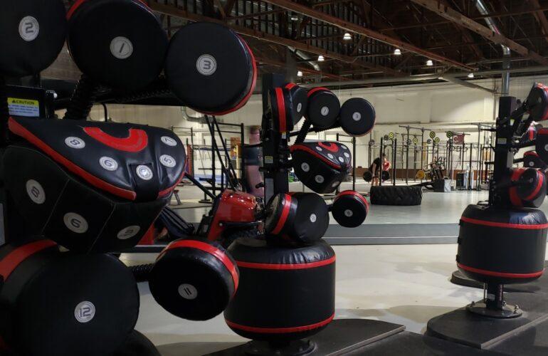 Gouvernement et armée 