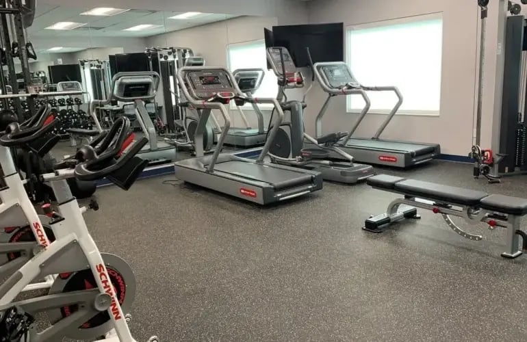 Gouvernement et armée 