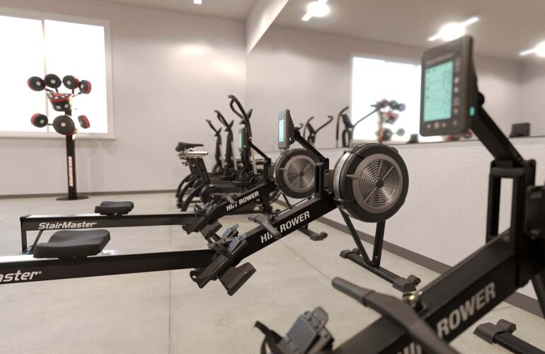 Gouvernement et armée 