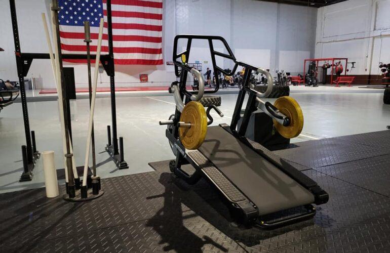 Gouvernement et armée 