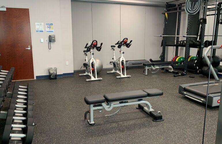 Gouvernement et armée 