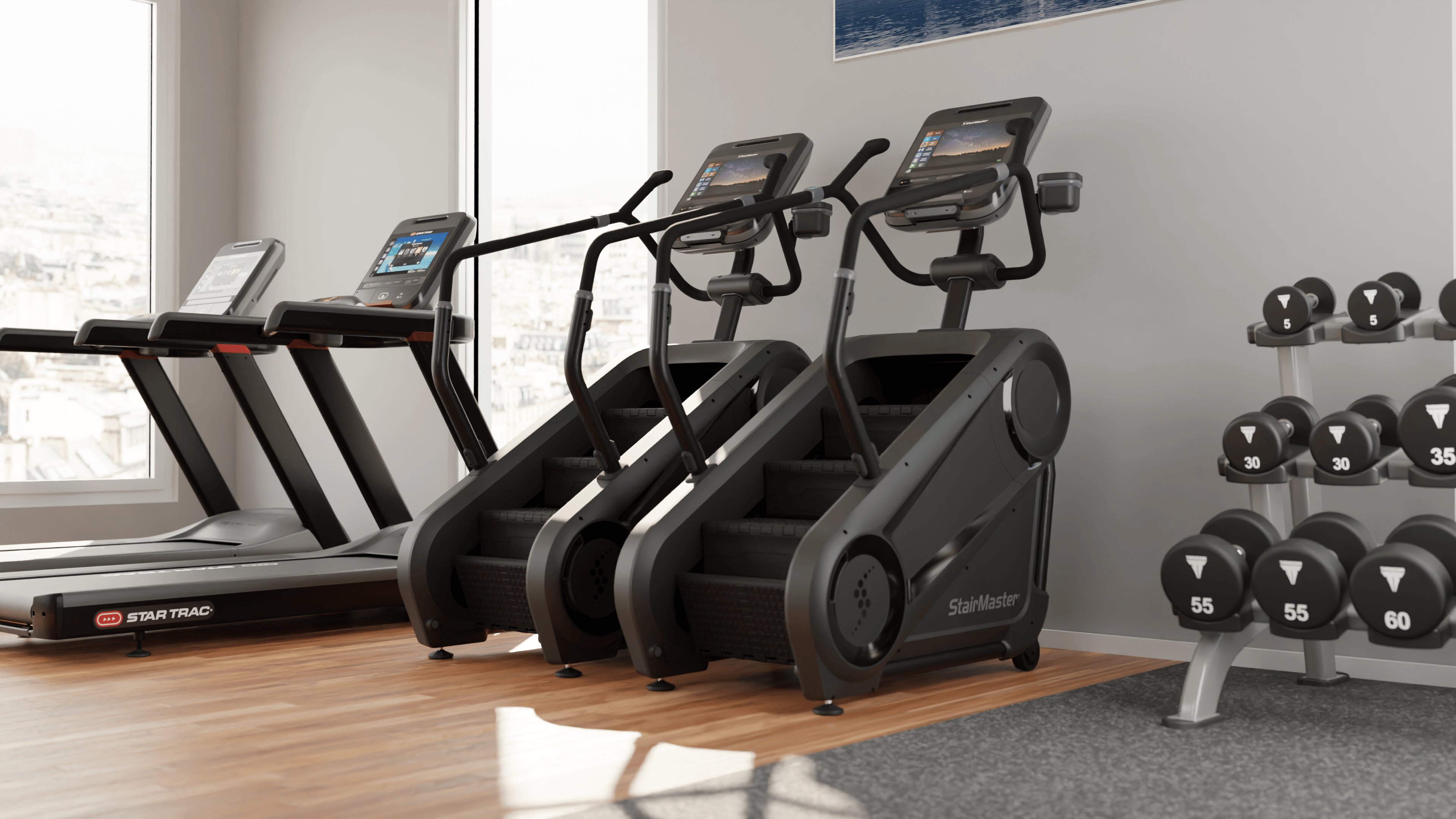 StairMaster Hotel V2