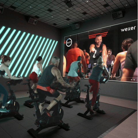 480X480-TRIBAL FITNESS - Wexer Live and on demand-Landing Page product images