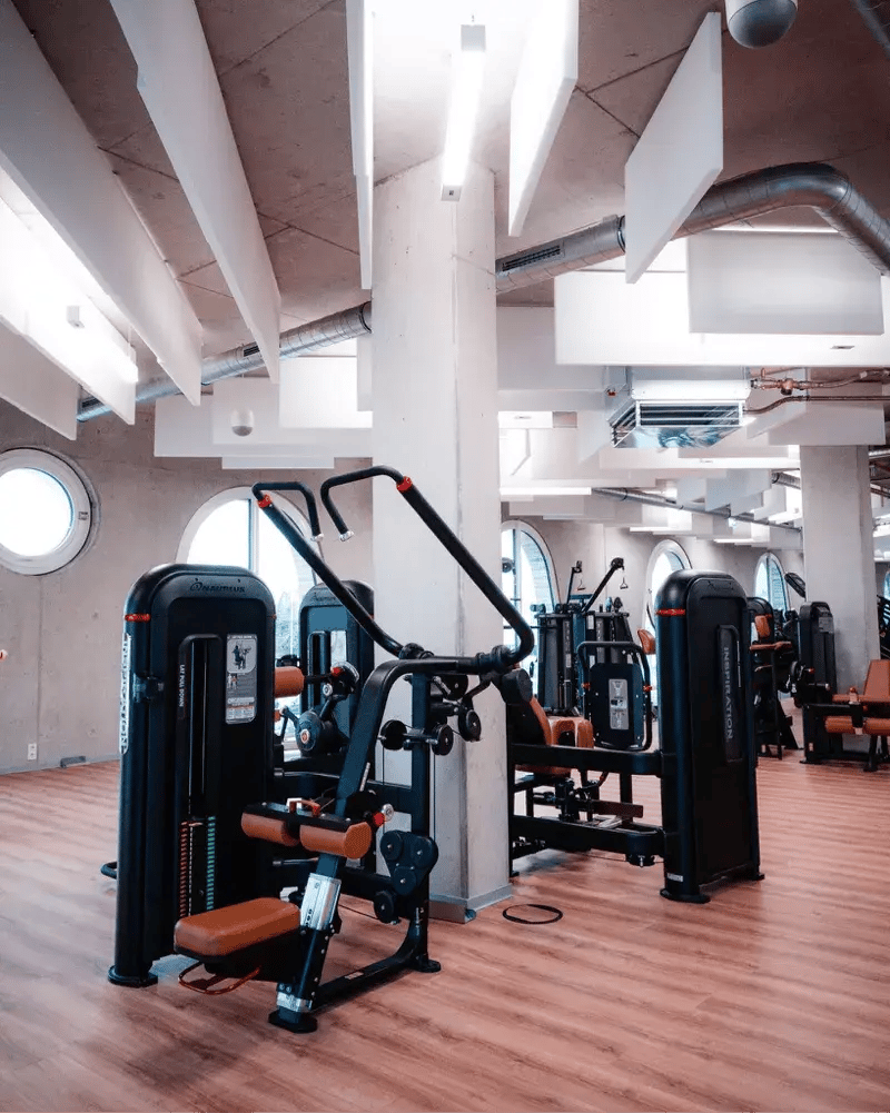 Force 2- Adam & Eve Allemagne Nautilus Inspiration 2