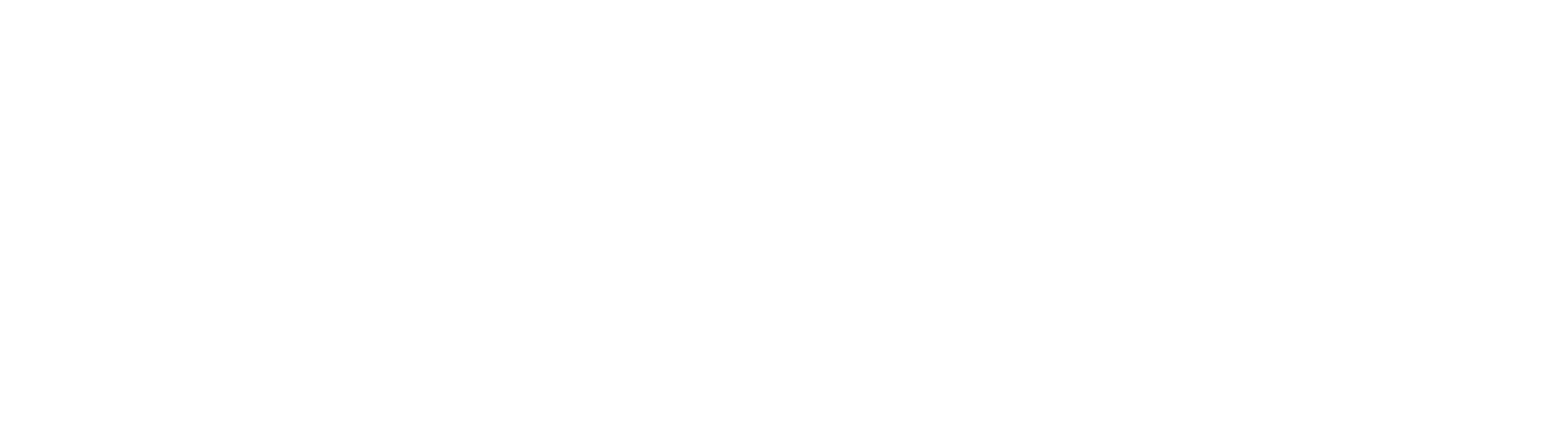2026_Logo blanc Schwinn-61