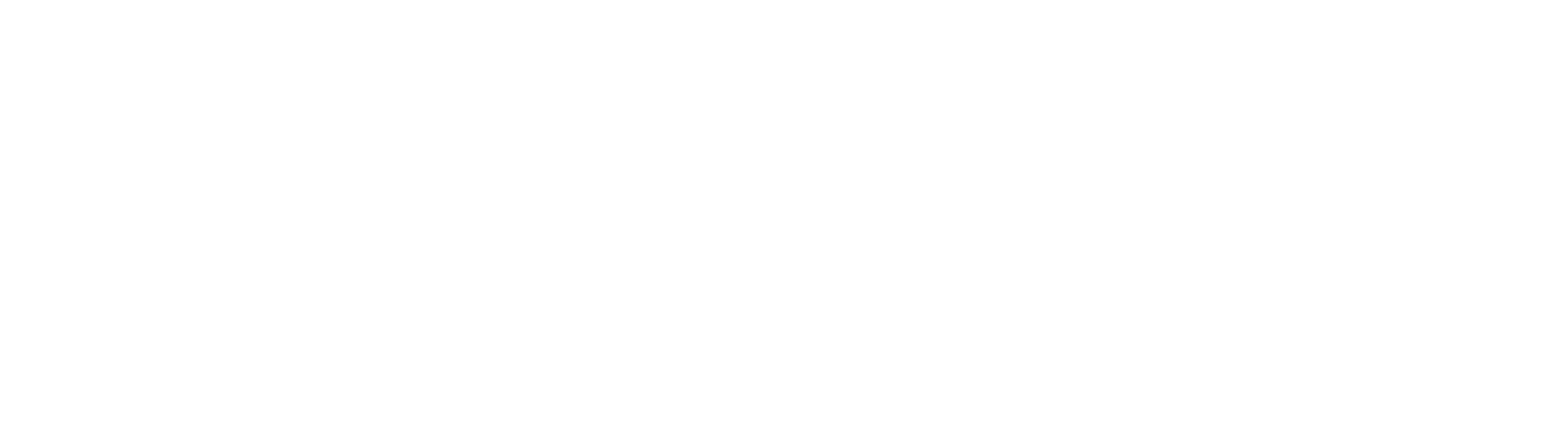 2026_Logo Wexer blanc