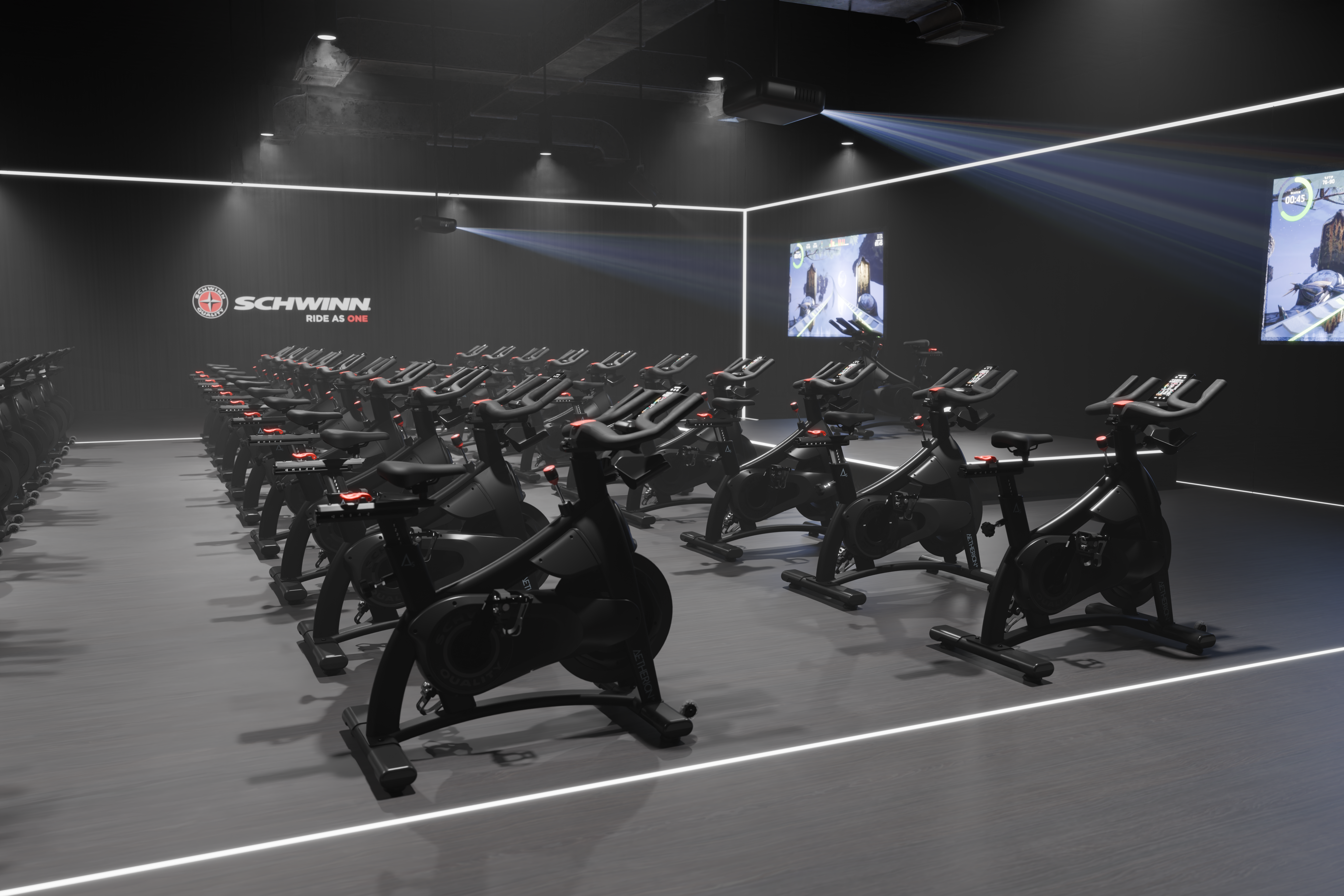 Aetherion+ S 9-7602 Schwinn 04