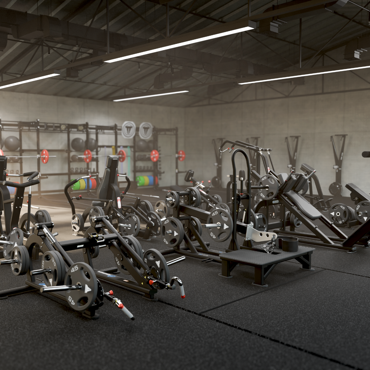 De la fonction à la performance : comment Training façonnent l'avenir du fitness